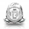 NFL 2024 Super Bowl LIX Philadelphia Eagles Championship Replica Fan Ring with Wooden Display Case and Name Plaque